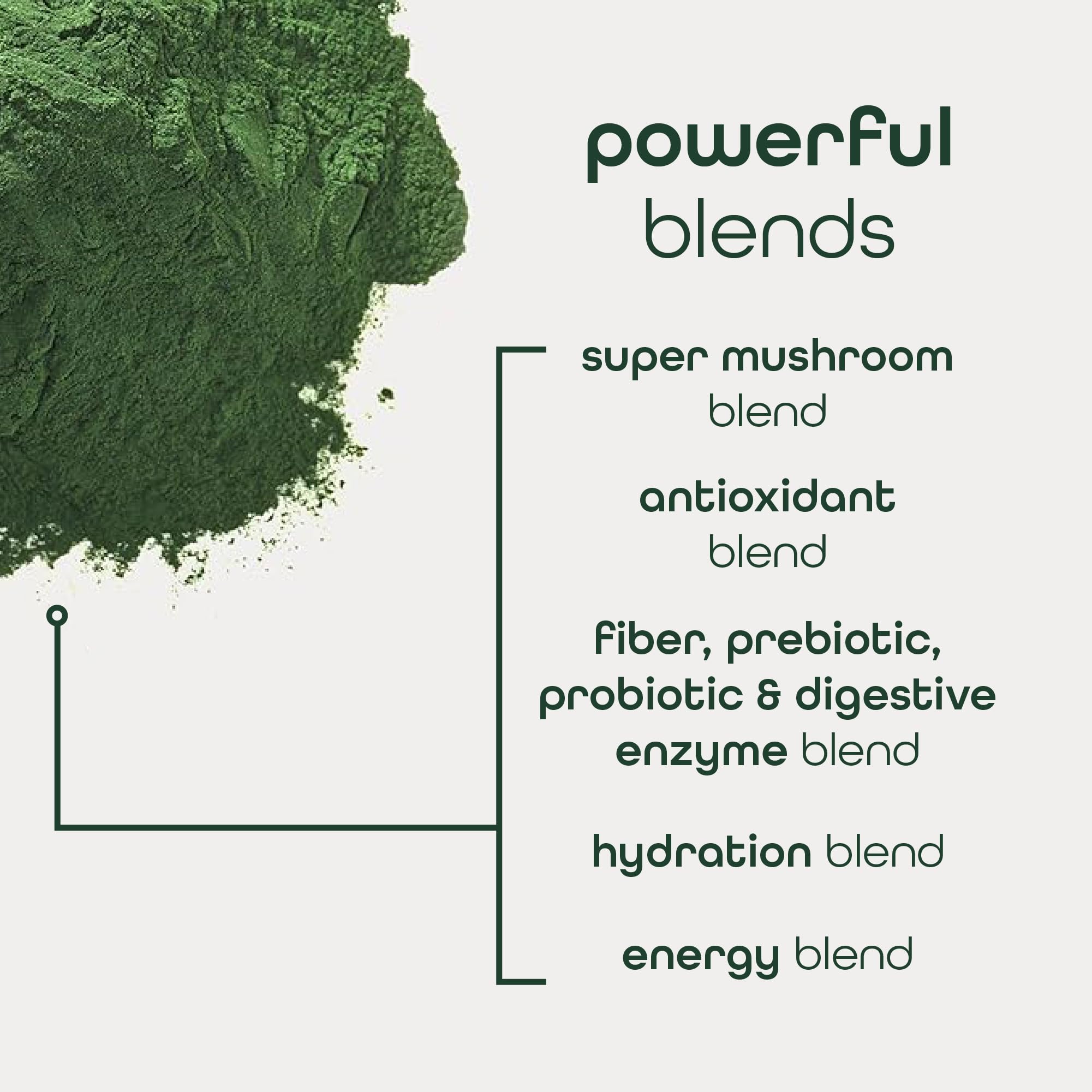 Zena Nutrition Organic Super Greens Energy & Hydration Powder, 70+ Superfoods, 0 Sugar, 5G Fiber, Spirulina, Chlorella, Prebiotics/Probiotics, Natural Caffeine + Electrolytes, 40 Drink Mix Packets Zena Nutrition buy australia supplements