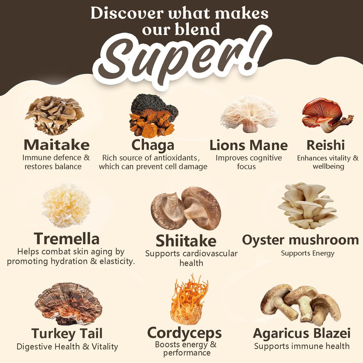 Suiyilary 10 Mushroom Coffee with Arabica w, Lion's Mane, Reishi, Mushroom Polysaccharides & More, Instant Mushrooms Powder for Focus, Immunity Boost, Suiyilary