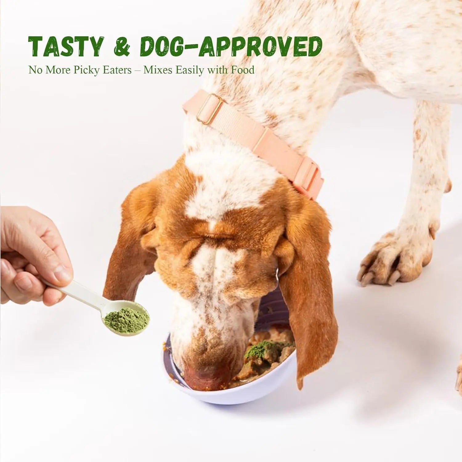 Vetriuntrix Dog Dental Powder, Dental Powder for Dogs Teeth Cleaning and Breath Fresh, Dog Teeth Cleaning Powder with Natural Plants Ingredients and Postbiotics, 200g Vetriuntrix buy australia supplements