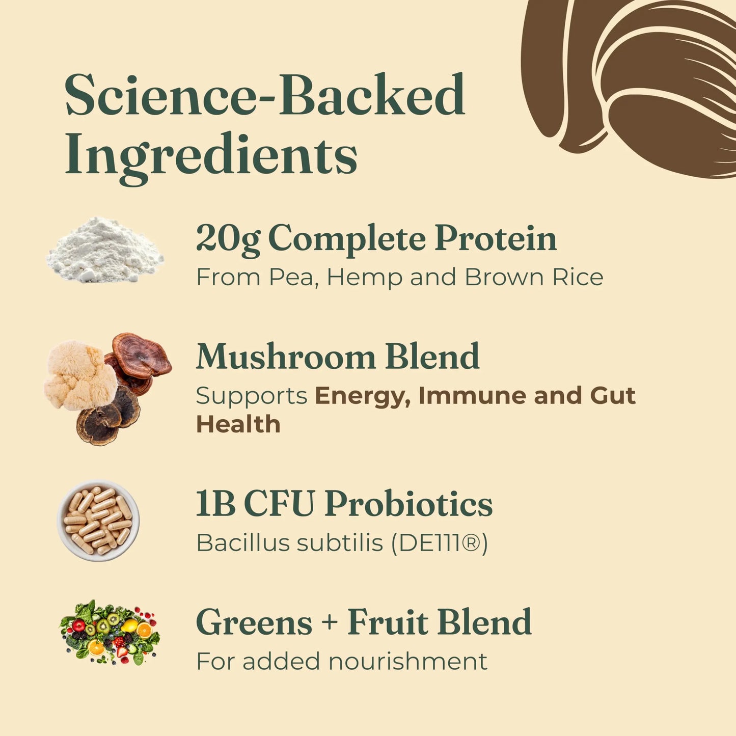 Four Sigmatic Organic Plant-Based Protein Powder | Clean Vegan Protein Elevated with Lion’s Mane, Chaga, Cordyceps and More for Brain Function and Immune Support | Creamy Cacao, 21.16 oz Four Sigmatic