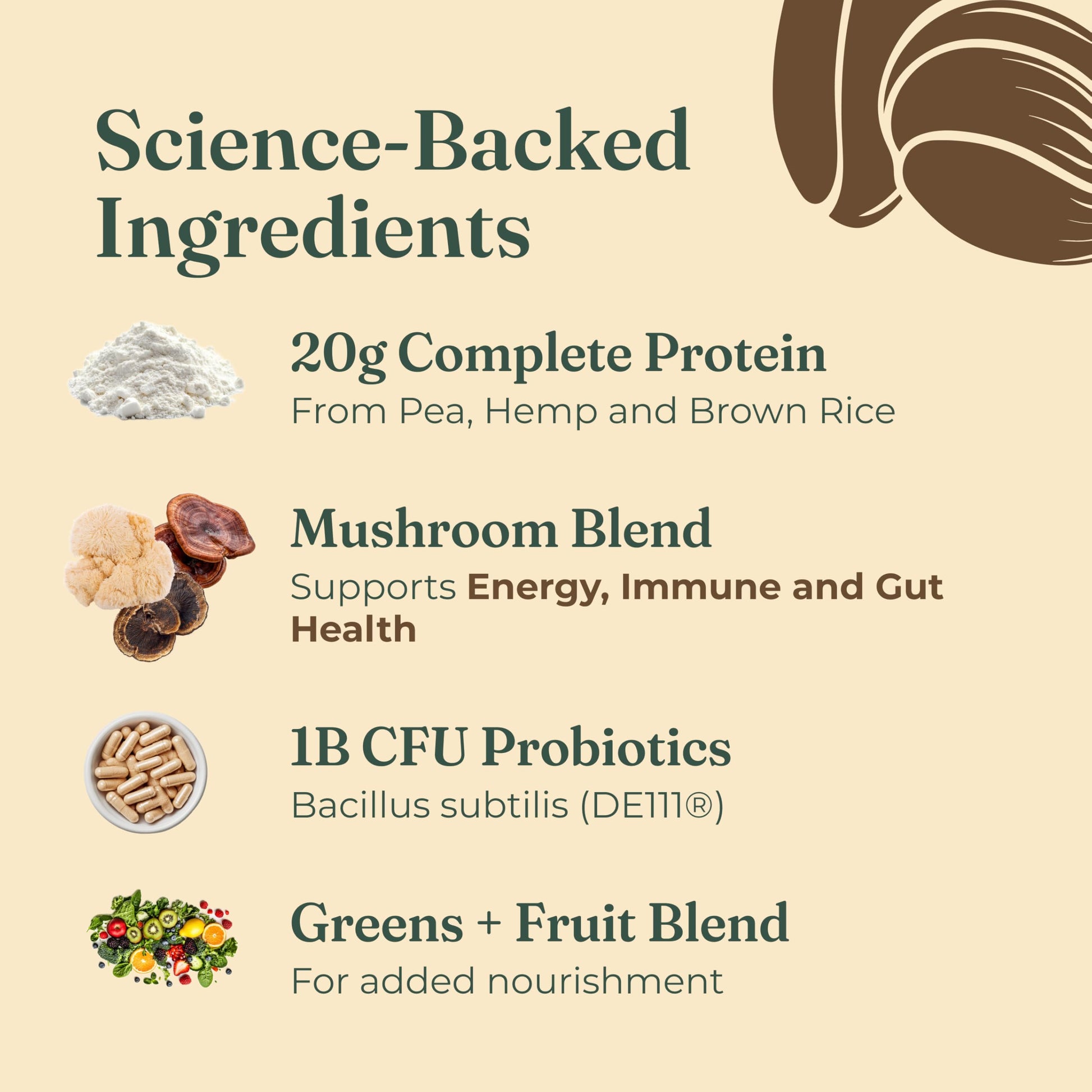 Four Sigmatic Organic Plant-Based Protein Powder | Clean Vegan Protein Elevated with Lion’s Mane, Chaga, Cordyceps and More for Brain Function and Immune Support | Creamy Cacao, 21.16 oz Four Sigmatic buy australia supplements