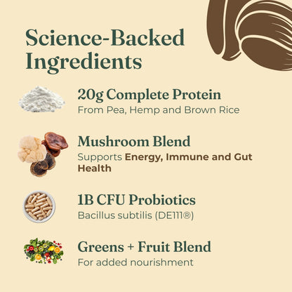 Four Sigmatic Organic Plant-Based Protein Powder | Clean Vegan Protein Elevated with Lion’s Mane, Chaga, Cordyceps and More for Brain Function and Immune Support | Creamy Cacao, 21.16 oz Four Sigmatic