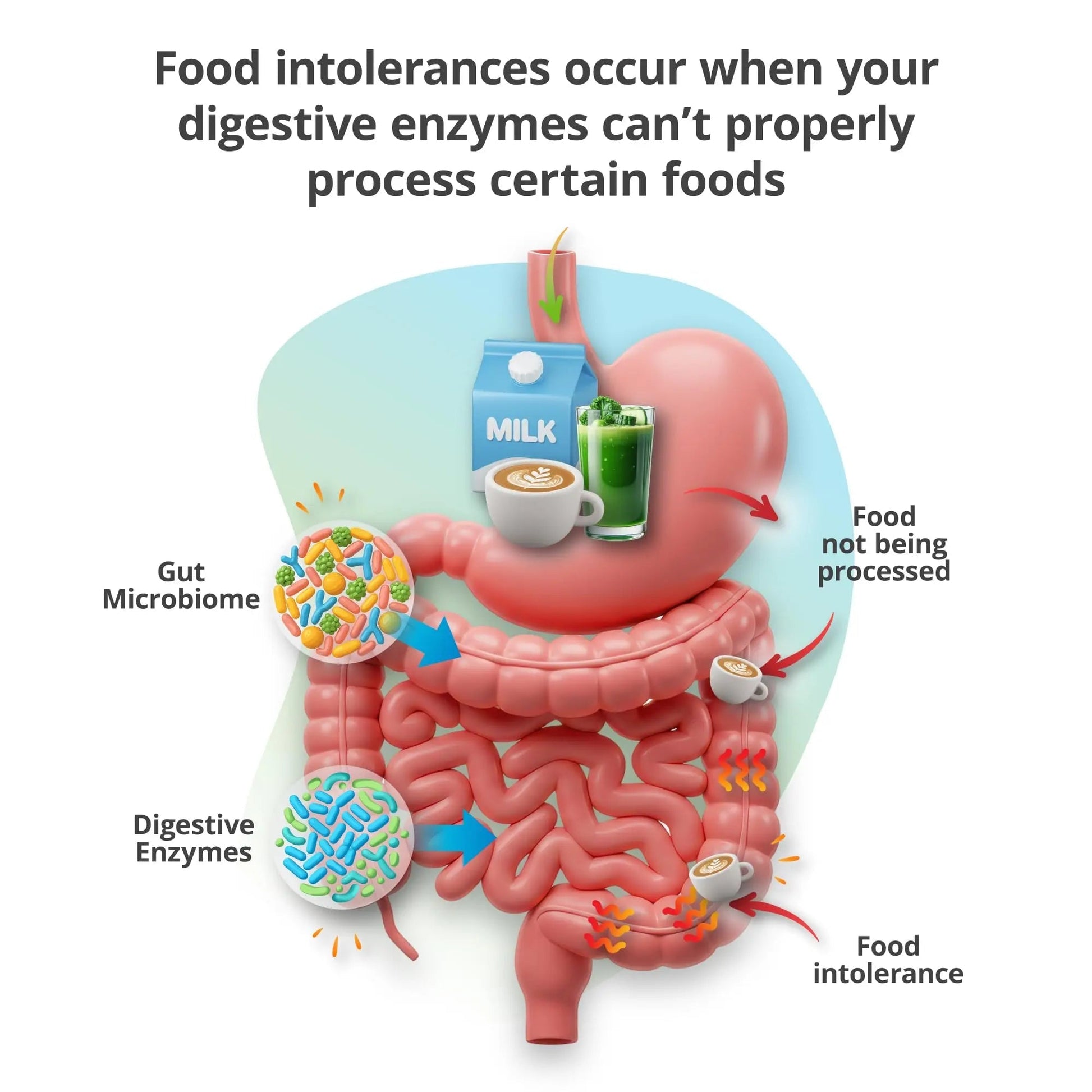 5Strands Food & Beverage Intolerance Test for Adults & Kids, 868 Items Tested, at-Home Sensitivity Testing, Hair Analysis, Gut Health Test, Results in 4 Days 5Strands buy australia supplements