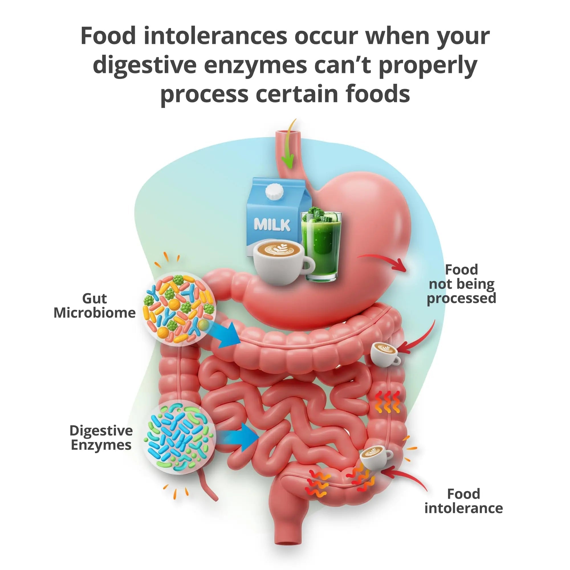 5Strands Food & Beverage Intolerance Test for Adults & Kids, 868 Items Tested, at-Home Sensitivity Testing, Hair Analysis, Gut Health Test, Results in 4 Days 5Strands buy australia supplements