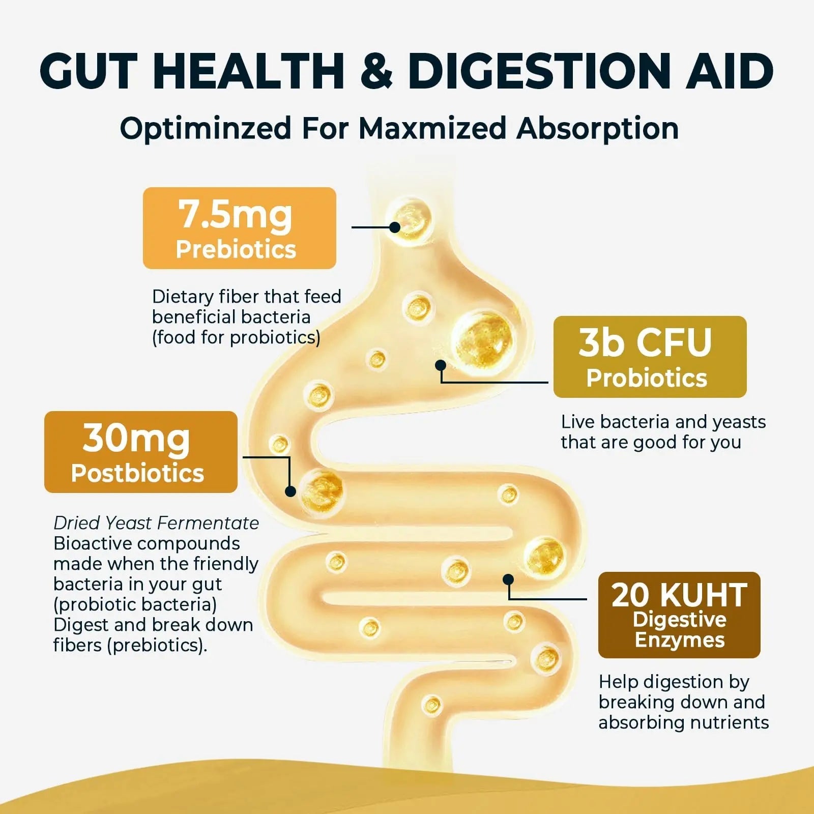 4-in-1 Prebiotic Probiotic & Postbiotic for Women & Men, Complete Gut & Digestive Support Supplement, Pre Post Probiotics & Digestive Enzymes 60 Capsules,Made in USA Divinity Nutra buy australia supplements