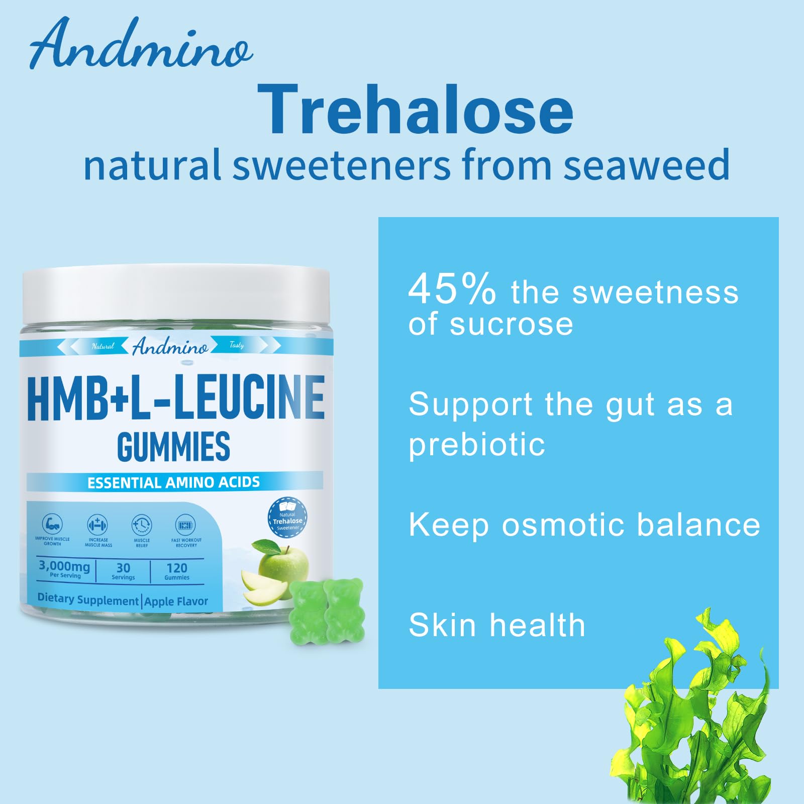 andmino HMB and L-Leucine Gummies, 3000mg, with Trehalose, for Muscle Growth, Muscle Relief and Workout Recovery, for Adults & Elder, Non-GMO andmino buy australia supplements