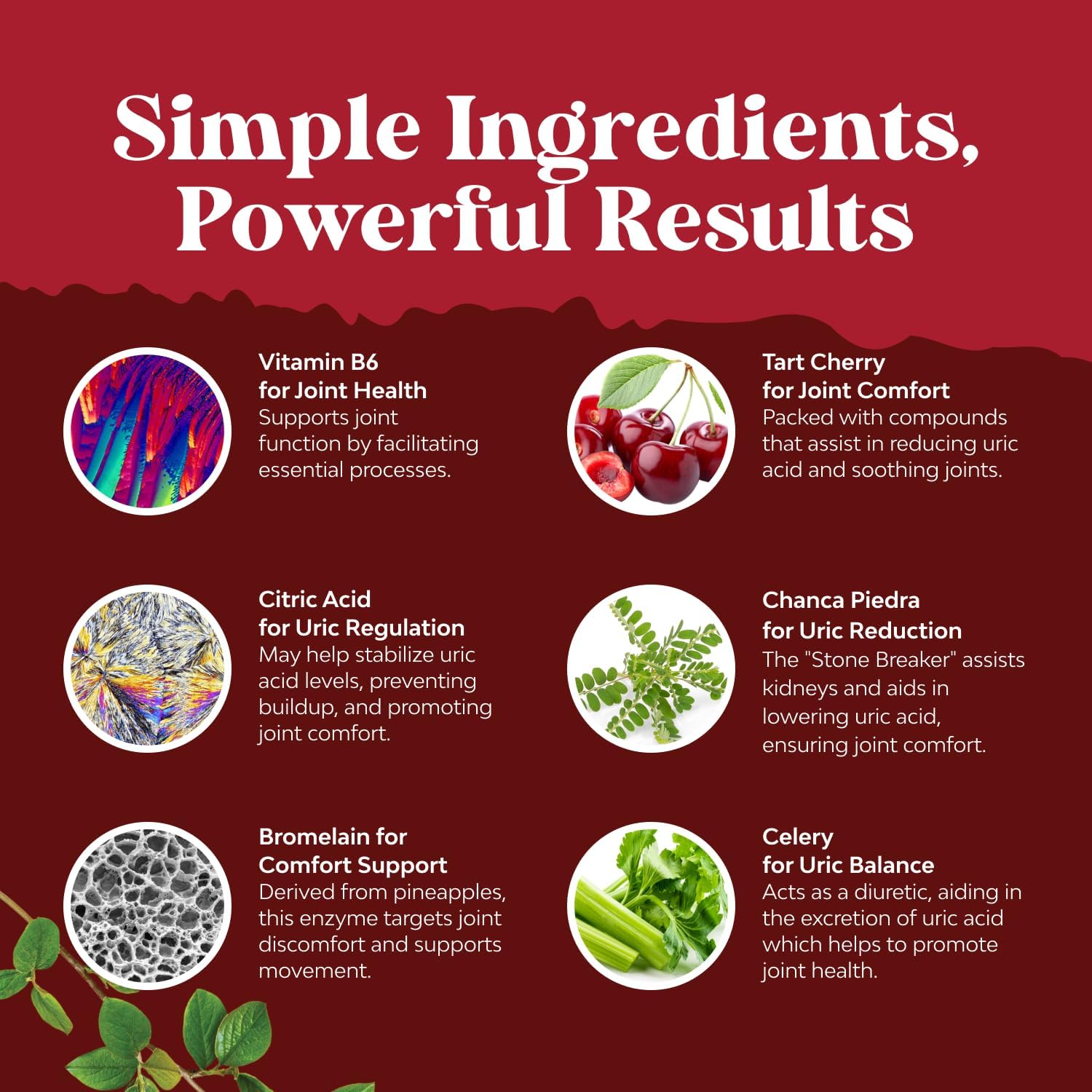 Green Coffee Beans Extract for Uric Acid Cleanse - 120 Capsules | Kidney Support Supplement with Tart Cherry, Chanca Piedra & Celery Seed - Uric Acid Support - Antioxidant Support - Non-GMO Gsupps Australia