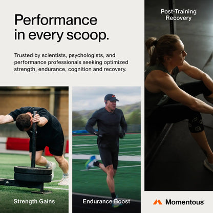 Momentous Creatine Monohydrate Powder - Creatine Powder - Supports Strength, Lean Muscle, & Recovery for Men & Women - NSF Certified for Sport - 5 g per Serving - 30 Servings Momentous