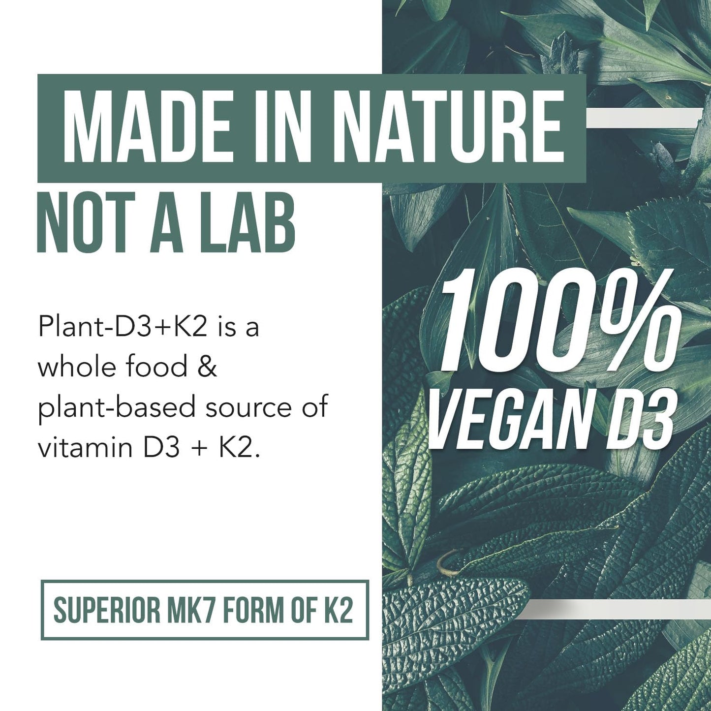 Organic Plant D3 + K2 | 5000 iu D3 + 120 mcg K2 as All-Trans MK7 from MenaQ7® - 100% Whole Food, Raw & Vegan | Enhanced Digestion with Prebiotic Triquetra Health