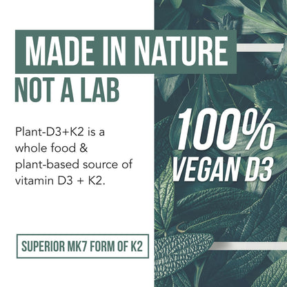 Organic Plant D3 + K2 | 5000 iu D3 + 120 mcg K2 as All-Trans MK7 from MenaQ7® - 100% Whole Food, Raw & Vegan | Enhanced Digestion with Prebiotic Triquetra Health