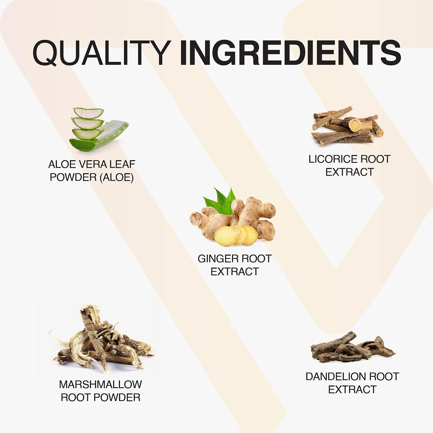 Vatellia Life New from Eaters Digest | Prebiotic | Probiotic | Digestive Support | Gut Soothing | Healthy Gut Lining | Max Nutrient Absorption Vatellia Life