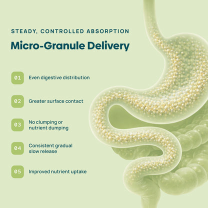 C15:0 Pentadecanoic Acid Supplement | Longevity, Cellular & Membrane Support, Micro-Granule Enhanced Absorption, Phosphatidylcholine, L-Carnitine, Stay-Well Naturals