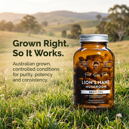 Forest Super Foods Lions Mane Supplement Capsules (120 Capsules) Organic Lions Mane Mushroom | Memory Lift Brain Supplement for Focus and Productivity. Lion Mane, Grown & Made in Australia Forest Super Foods