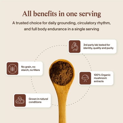 Real Mushrooms Reishi Mushroom Capsules - Handpicked Organic Mushroom Extracts Real Mushrooms