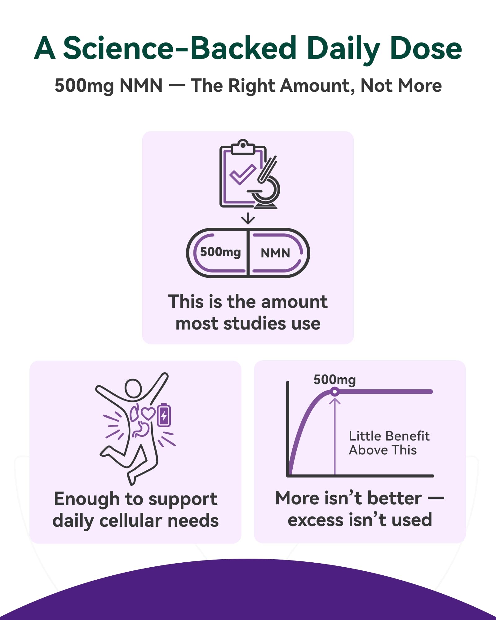 Inner Brightness NMN Supplement 500mg, 99.9% High Purity, Supports NAD+ Levels & Cellular Energy, 5-in-1 Formula with Resveratrol & Astaxanthin, Non-GMO, Gluten-Free, 60 Capsules Inner Brightness buy australia supplements