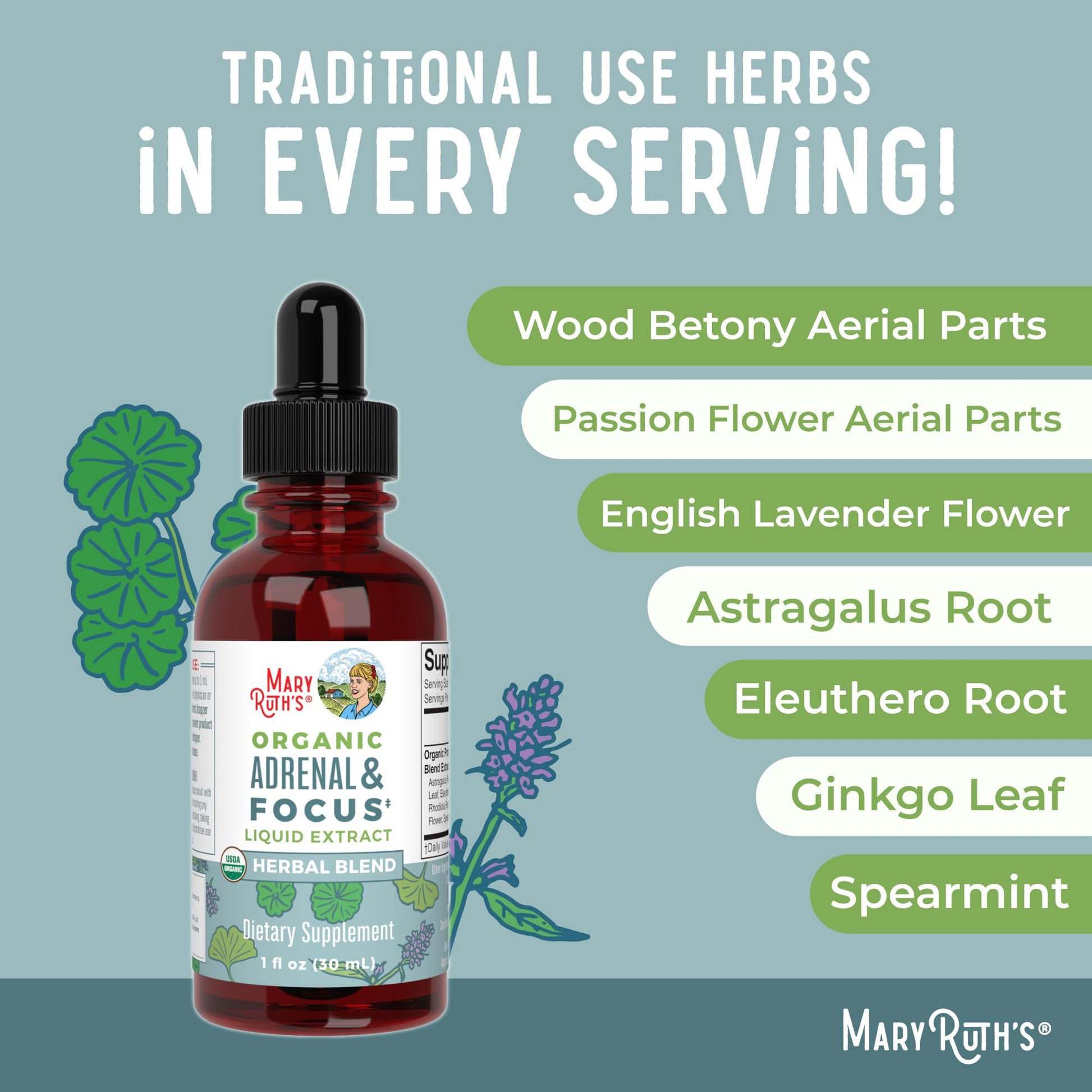 MaryRuth Organics - USDA Organic Brain Nootropic Supplement for Adults with Ginkgo Biloba & Astragalus | Focus & Adrenal Support | Brain & Memory Drops | Vegan | Non-GMO | Gluten Free | 30 Servings MARYRUTH'S buy australia supplements