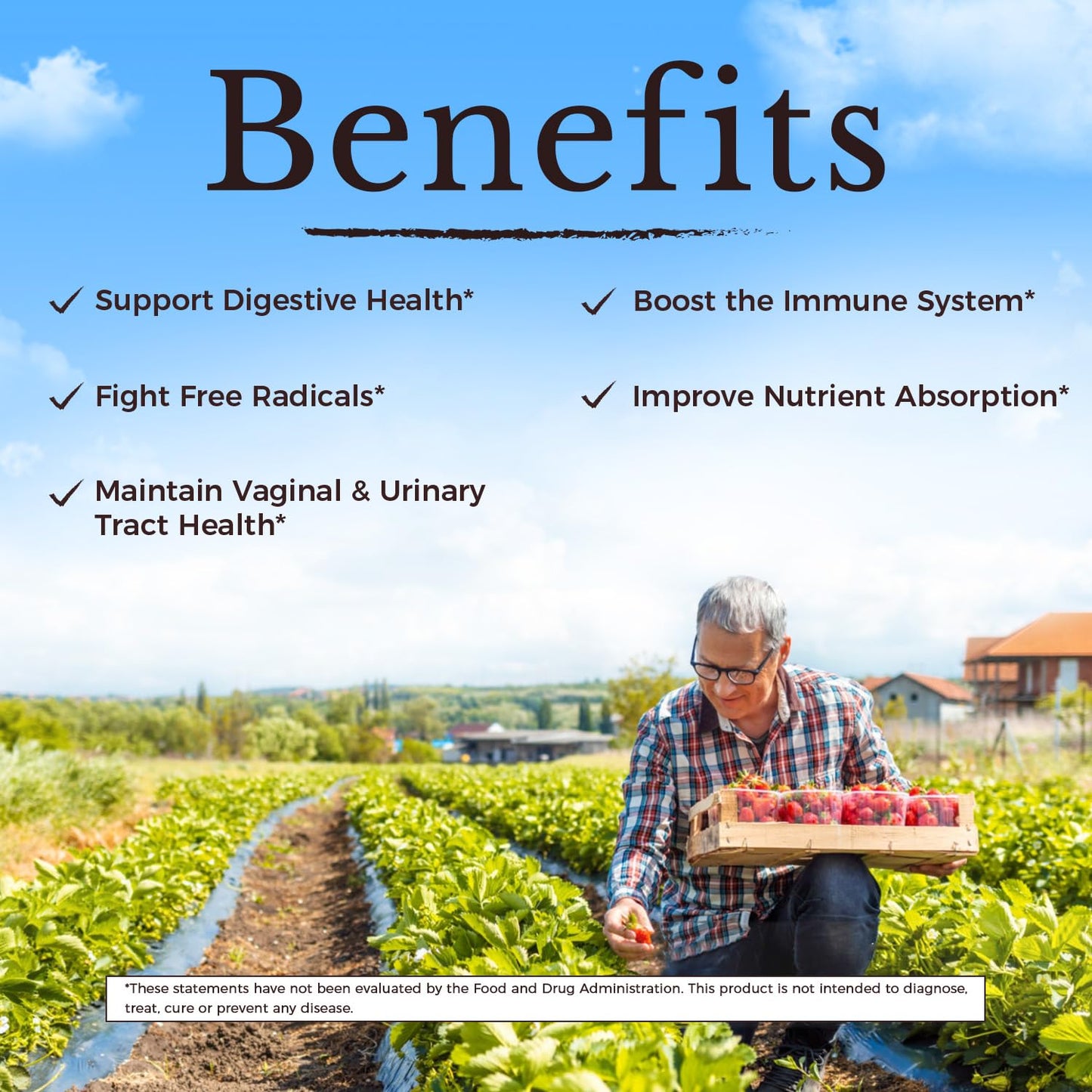 Vitalitown Probiotics for Women 120 Billion CFUs, 30 Strains, with Prebiotics & Digestive Enzymes & Cranberry, Gut & Vaginal Health, Vegan 30 Vitalitown