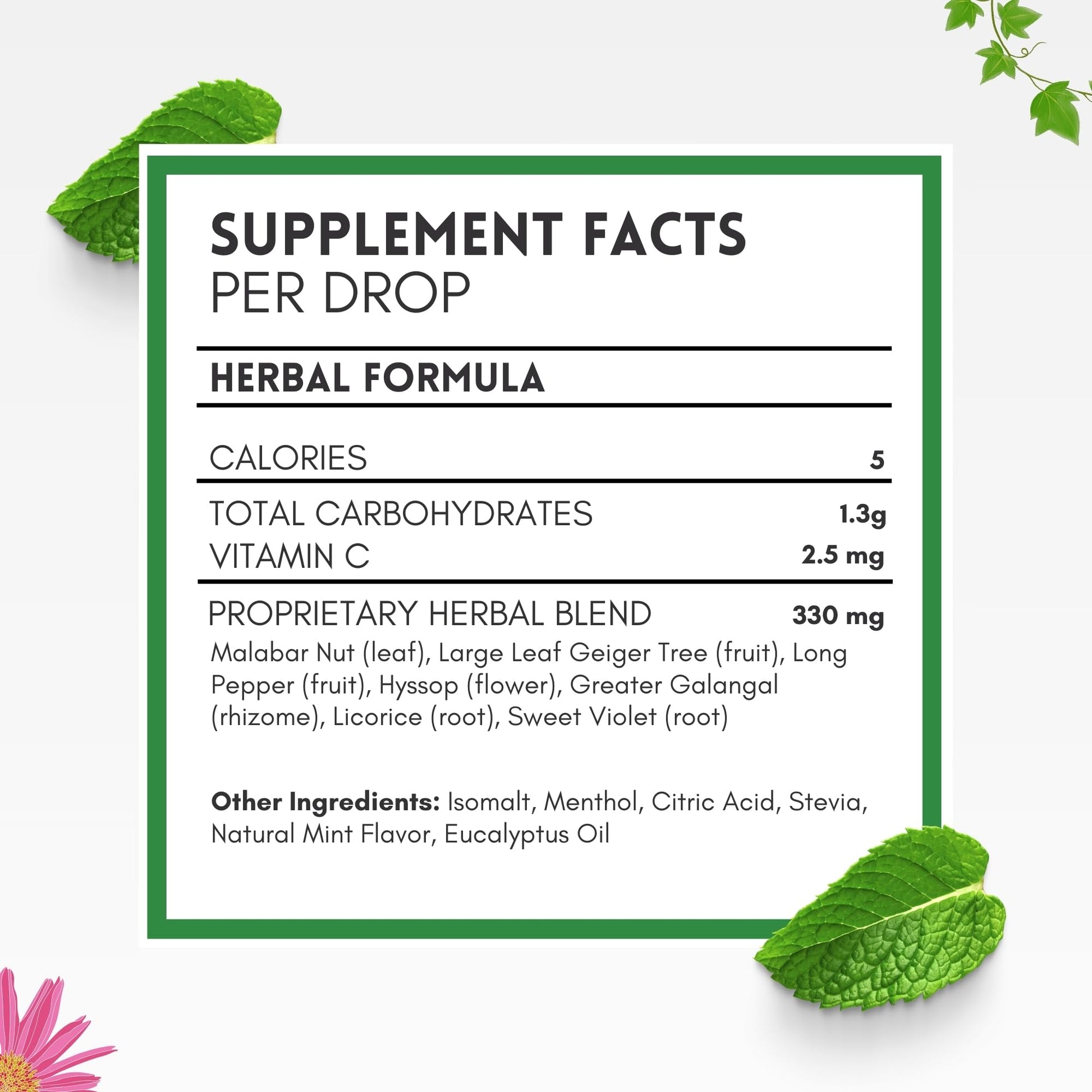 HERBION Naturals Cough Drops, Sugar Free with Stevia, Dietary Supplement, Soothes Cough, for Adults & Children Over 6 Years, 18 Count, Mint, Pack of 1 HERBION buy australia supplements