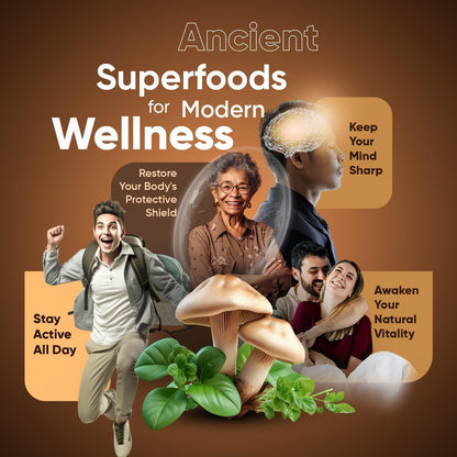 Suiyilary Mushroom Coffee, 10 Mushroom Extract Powder Blend Lion's Mane, Reishi, Chaga Suiyilary
