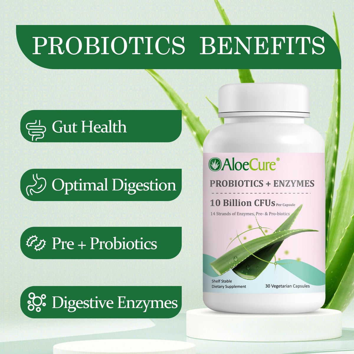 AloeCure Daily Probiotics 10 Billion CFU for Digestive Support 8 Strains, 6 Prebiotics & Enzymes - Digestive Supplement with Bromelain for Women & Men AloeCure