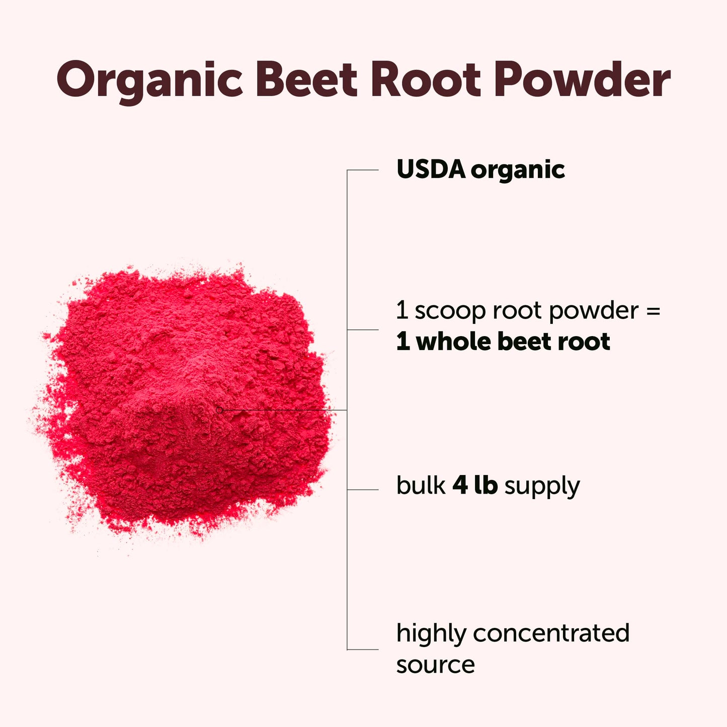 Micro Ingredients Organic Beet Root Powder, 4 Pounds | Cold Pressed, Water Soluble, High Concentrated Raw Beetroot Supplement | Natural Nitric Oxide Superfood Drink Mix Micro Ingredients