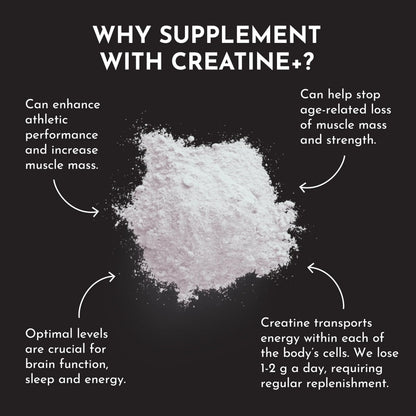 JUST INGREDIENTS Creatine Monohydrate Powder with Rejen Fulvic Mineral Complex - Supports Muscle Recovery, Energy, Strength, Cognitive Function - 30 Servings JUST INGREDIENTS