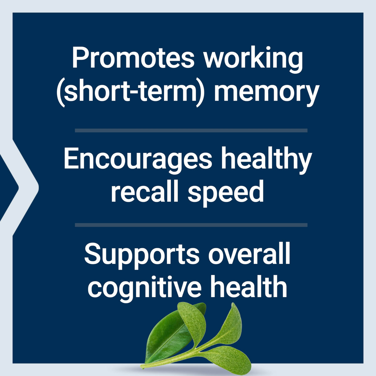 Life Extension Neuro-Mag Magnesium L-Threonate Powder (Tropical Punch) - Ultra-Absorbable Magnesium - Supports Memory, Focus, Cognitive Function & Mood - Life Extension