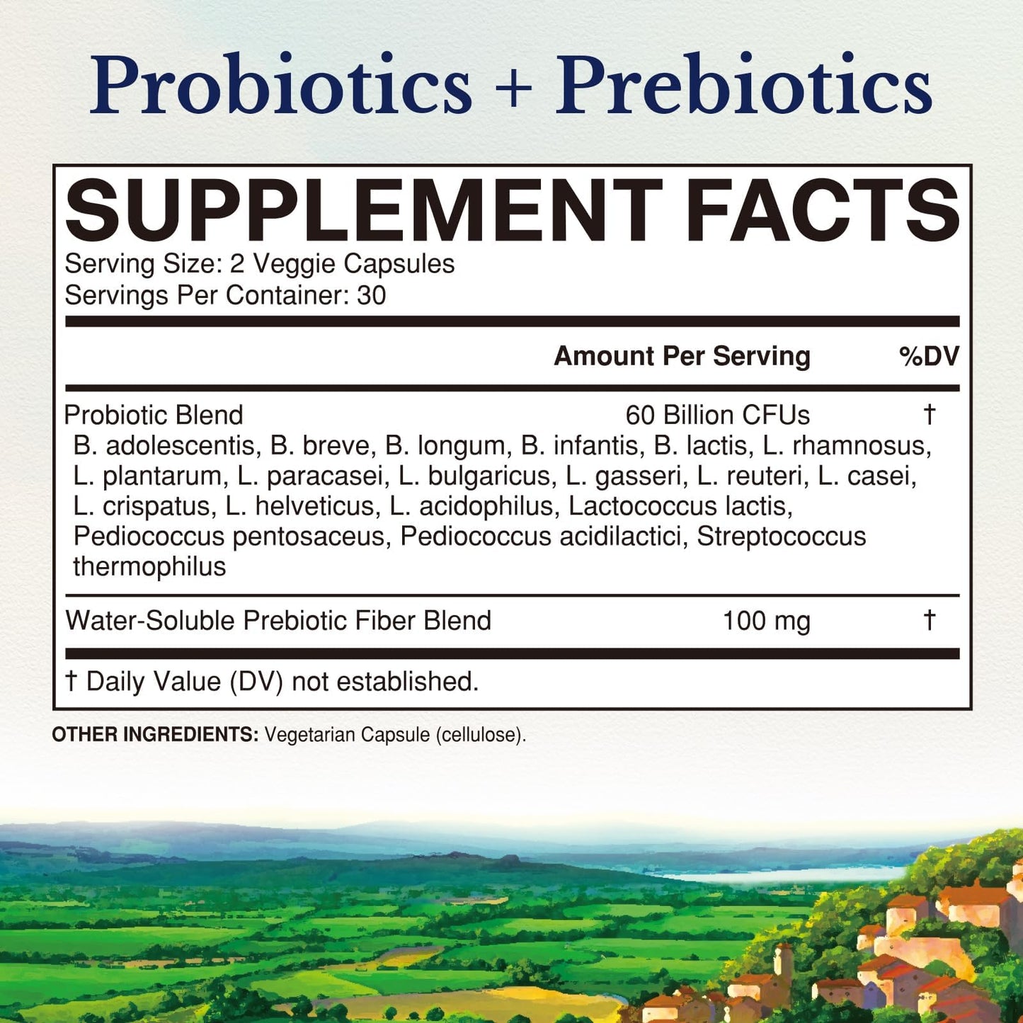Vitalitown Probiotics + Prebiotics | 60 Billion CFUs 19 Strains | 60 Delayed Release Veg Caps | Shelf Stable, Prebiotics and Probiotics | Digestive Health Vitalitown