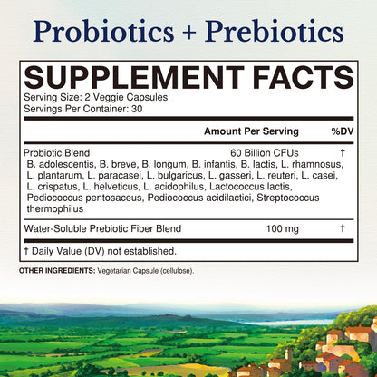 Vitalitown Probiotics + Prebiotics | 60 Billion CFUs 19 Strains | 60 Delayed Release Veg Caps | Shelf Stable, Prebiotics and Probiotics | Digestive Health Vitalitown