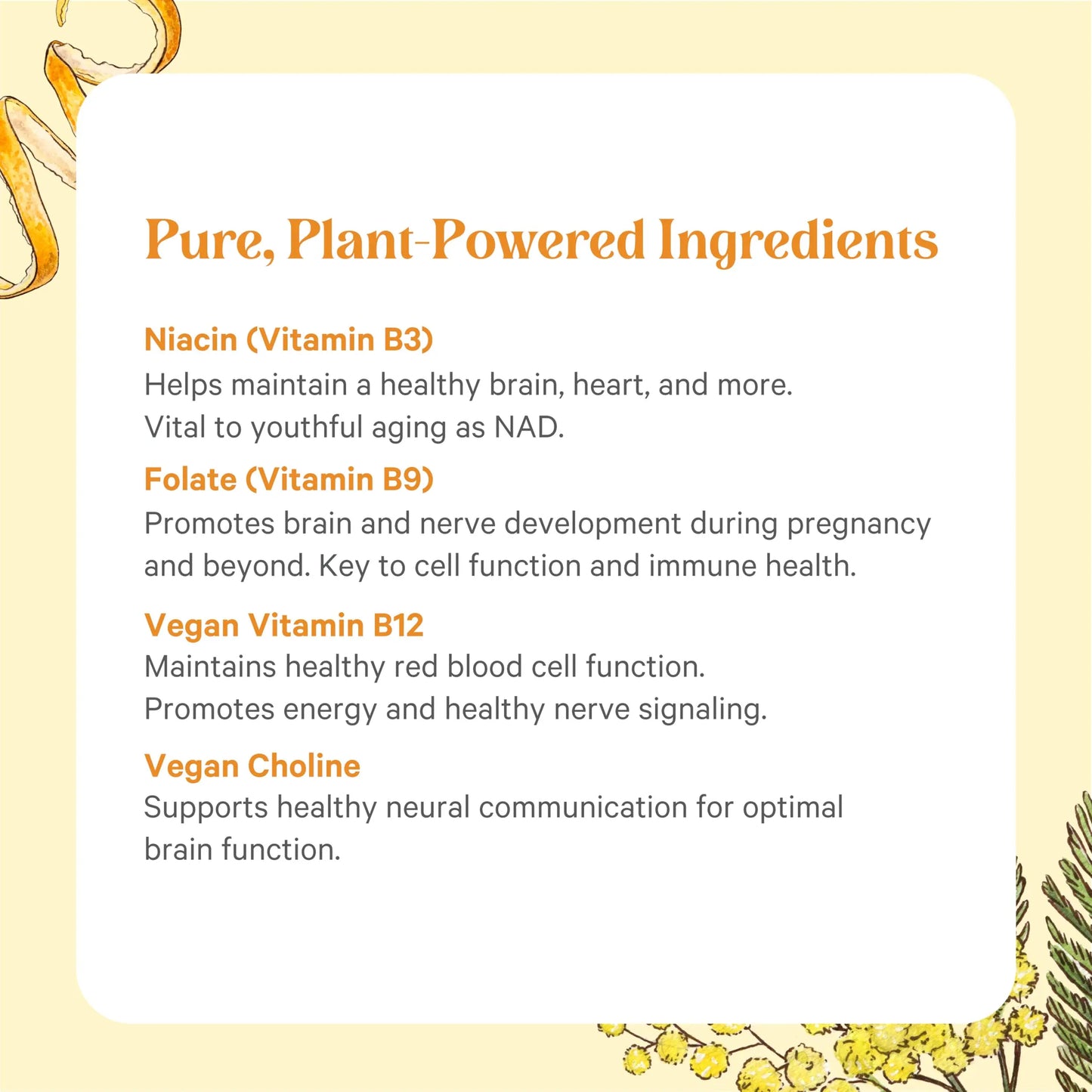 PURE SYNERGY Super B-Complex | Vitamin B Complex Made with Organic Whole Foods | Vegan Supplement with Natural Vitamin B12, Niacin, and Folate | for Energy PURE SYNERGY