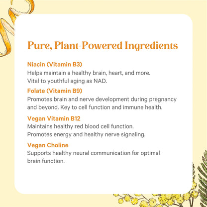 PURE SYNERGY Super B-Complex | Vitamin B Complex Made with Organic Whole Foods | Vegan Supplement with Natural Vitamin B12, Niacin, and Folate | for Energy PURE SYNERGY