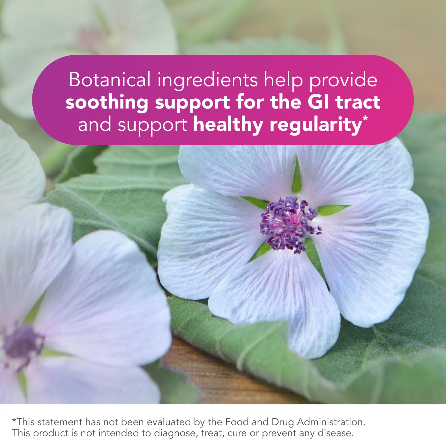 Biocidin Proflora 4R Spore Probiotic - Digestive Health Probiotics for Women & Men - Clinically Researched Bacillus Strains & Organic Aloe, Marshmallow Root for Gut Support (30 Vegan Capsules) Bio-Botanical Research buy australia supplements