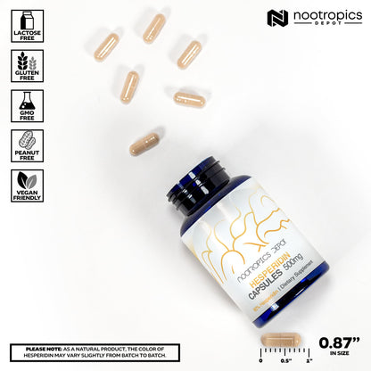 Nootropics Depot Hesperidin Capsules | 500mg | 60 Count | 90% Citrus Extract | Supports Metabolic Function + Cardiovascular Health