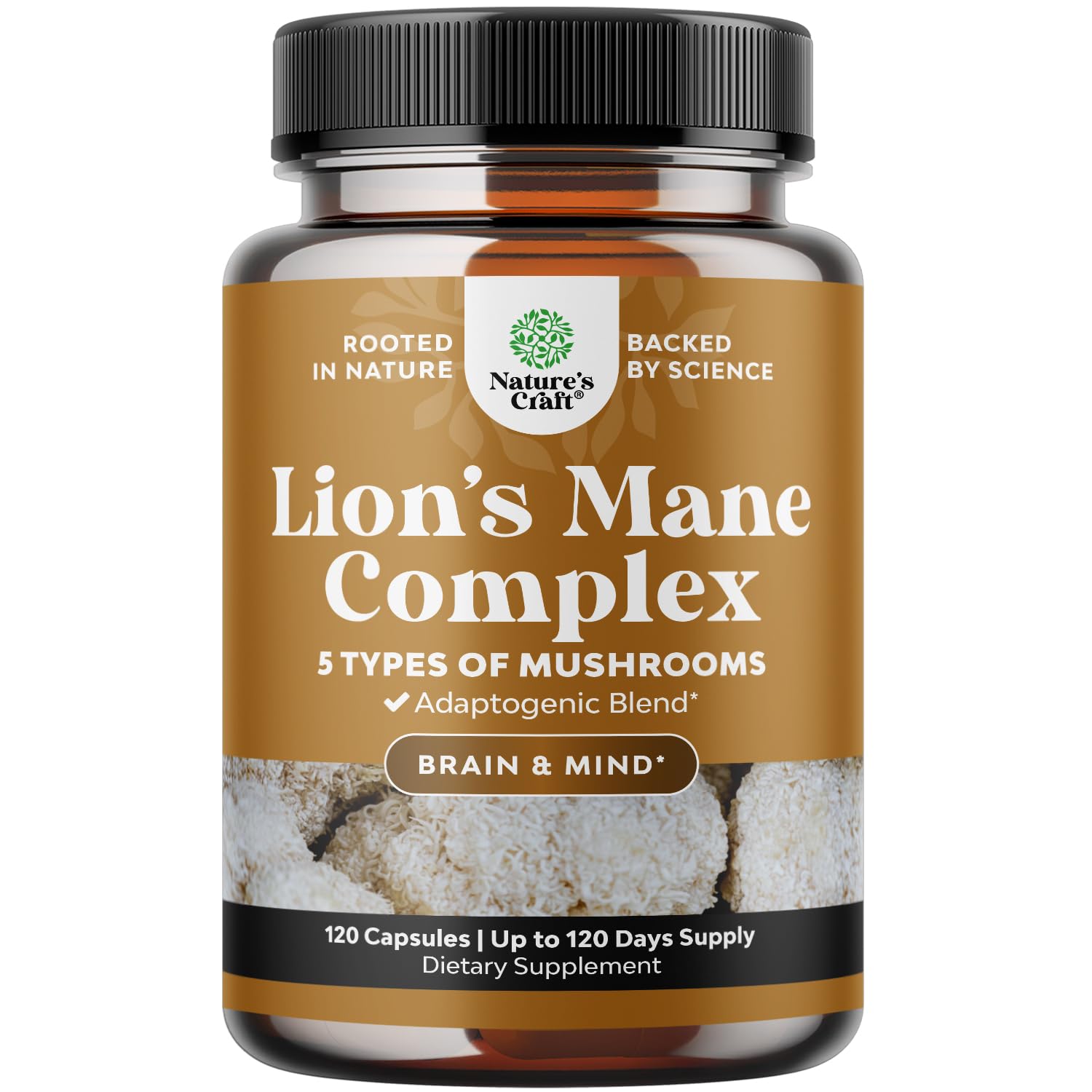 Advanced Lion's Mane Mushroom Supplement - Lions Mane Supplement Capsules with Reishi Chaga Maitake & Shiitake for Brain Health Memory Support & Focus - Nootropic for Mental Clarity - 120 Count Natures Craft buy australia supplements