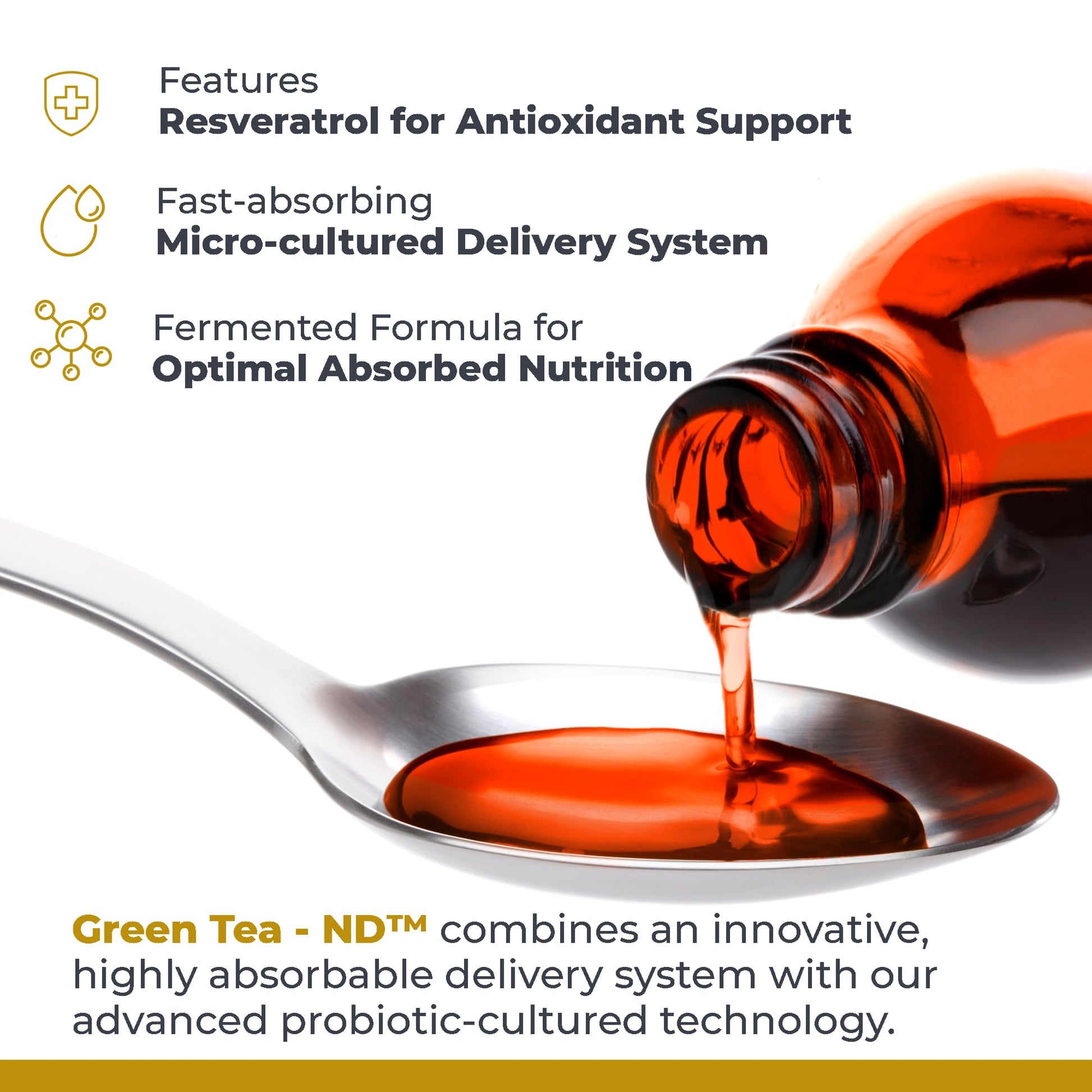 Premier Research Labs Green Tea-ND - Probiotic Fermented Green Tea Extract Supplement with ECGC, Camellia Sinensis Liquid, Supplement Drops for Adults, Vegan Friendly - 8 Fl Oz Bottle Premier Research Labs buy australia supplements