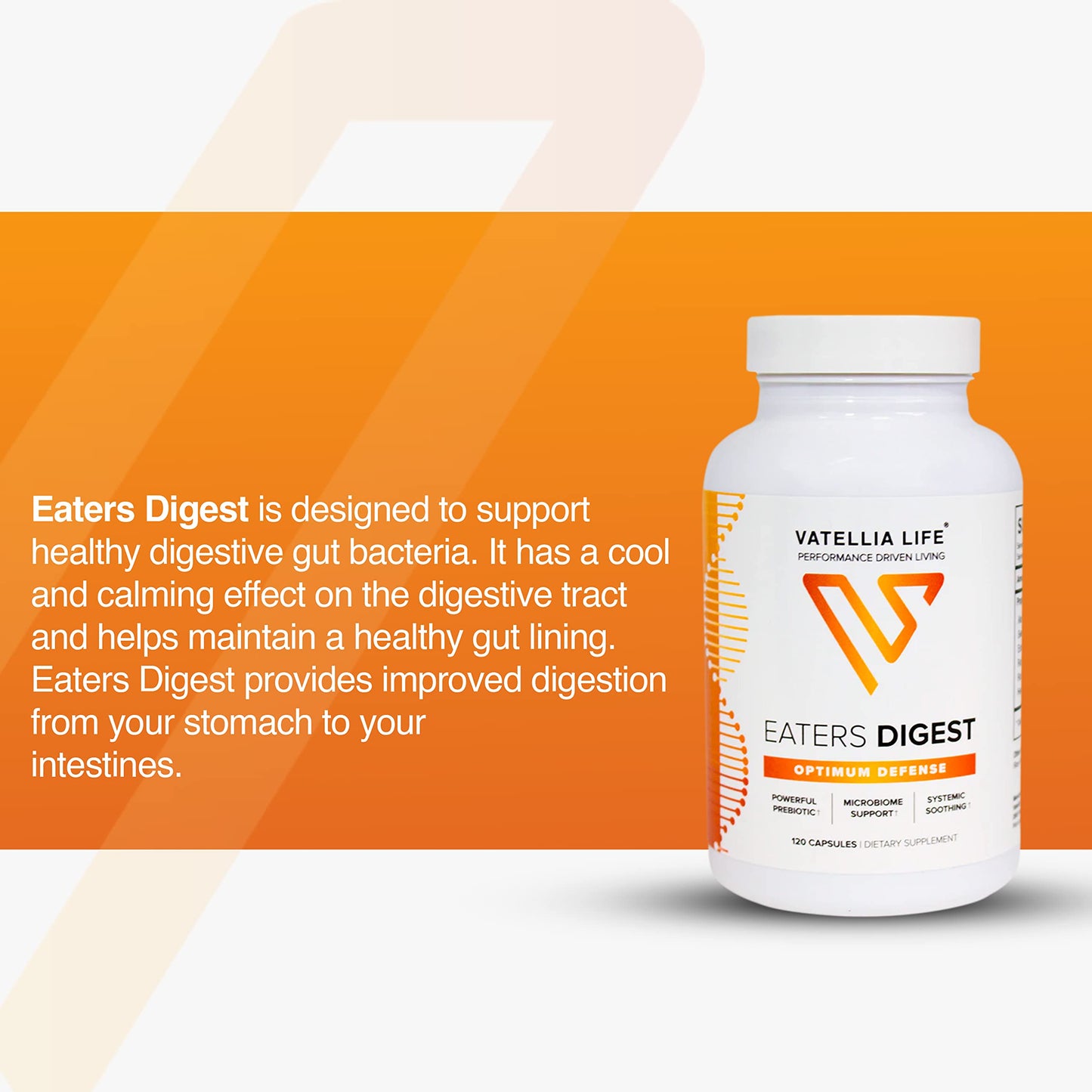 Vatellia Life New from Eaters Digest | Prebiotic | Probiotic | Digestive Support | Gut Soothing | Healthy Gut Lining | Max Nutrient Absorption Vatellia Life
