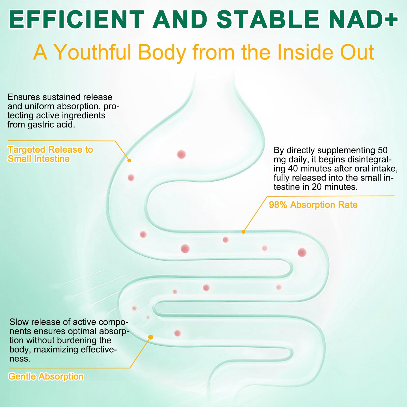 NAD Supplement 120 Capsules, Liposomal Nicotinamide Riboside, Resveratrol, Quercetin, NAD Nicotinamide Riboside Resveratrol 910mg for Women & Men, NAD Supplement for Anti Aging and Cell Regeneration KZUO buy australia supplements