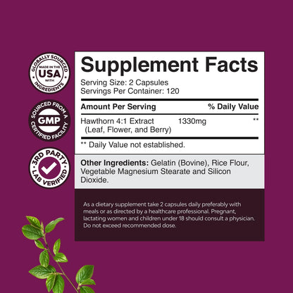 High Strength Hawthorn Berry Capsules - Pure Antioxidant Hawthorn Berry Supplement with Leaf & Flower Extract 4:1 for Healthy Heart & Digestion - Energy Support for Men & Women - 120 Count Pack Gsupps Australia