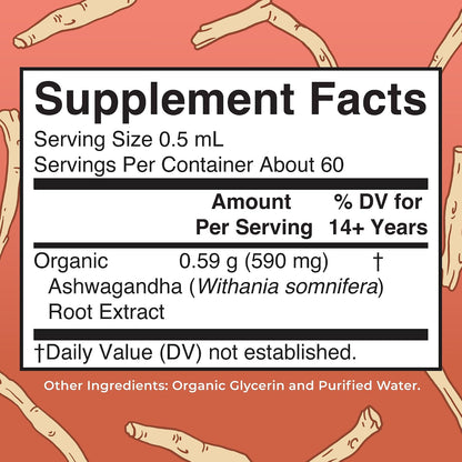 MARYRUTH'S Ashwagandha Root Liquid Drops | Mood & Stress Support Supplement | Calm & Relaxation | 590mg Ashwagandha | Adaptogen & Nervine | Vegan | USDA Organic | CLP Certified | Non-GMO | 1 oz