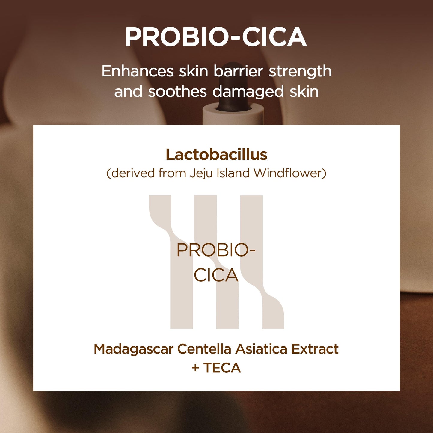 SKIN1004 Probio Cica Intensive Ampoule, Centella Serum for Face with Ceramide, Facial Serum for Nourishing & Soothing, Centella Ampoule SKIN1004