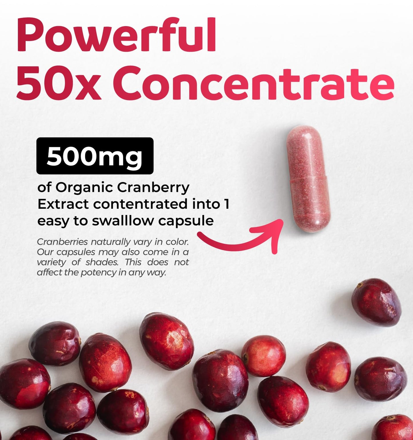 Organic Cranberry Pills - Vegan Supplement for Urinary Tract Health & Kidney Cleanse - Cranberry Pills for Women 500mg 50:1 Cranberry Concentrate Per Serving PURE CO