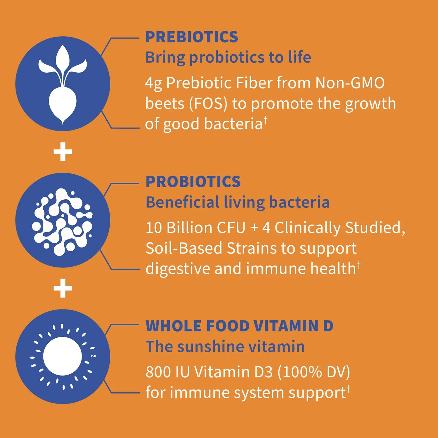 Garden of Life Dr Formulated 10 Billion CFU Prebiotic Fiber & Probiotic Gummies with Vitamin D3 for Digestive and Immune Health – Gluten Free, Non GMO Garden of Life