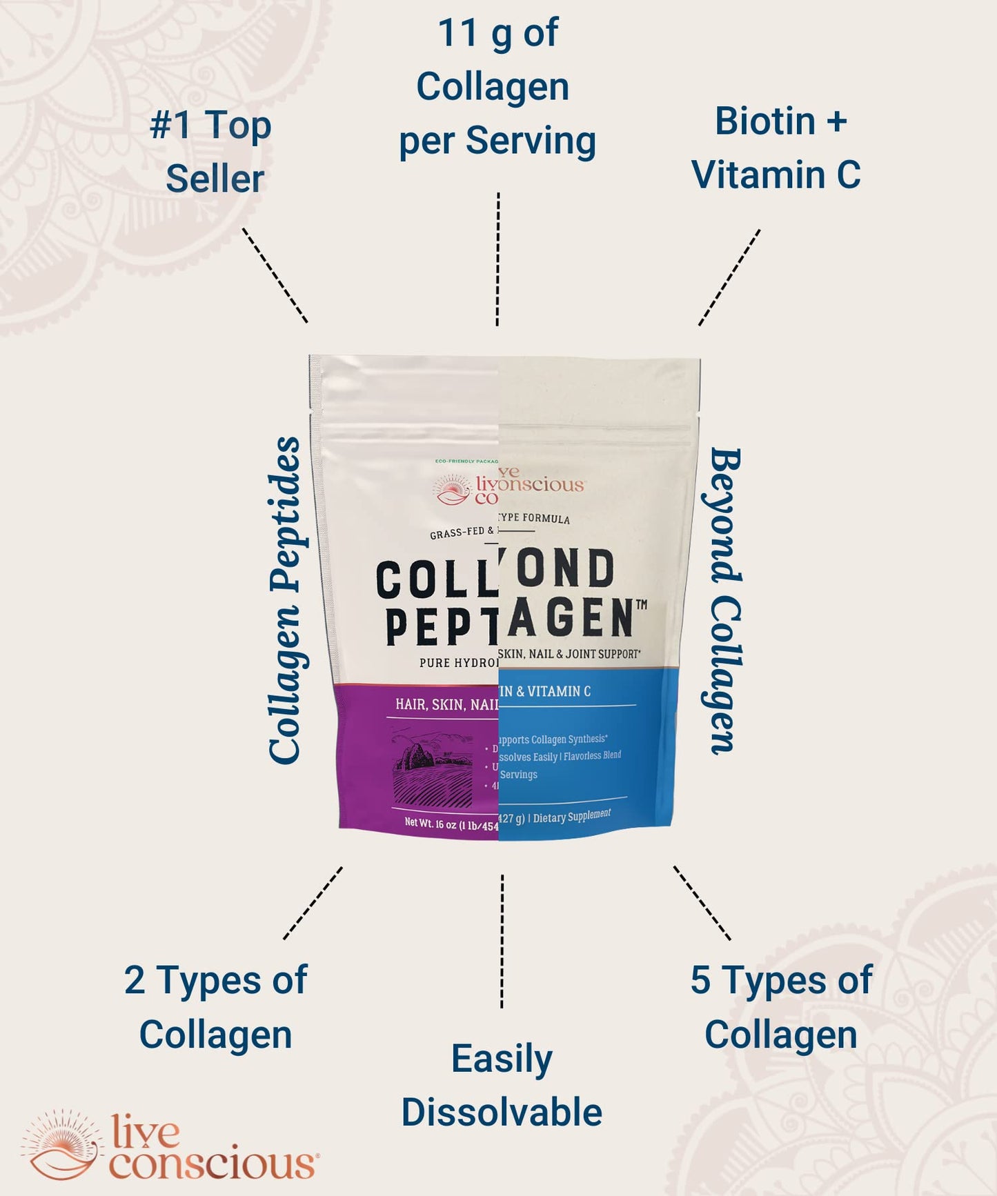 Live Conscious Collagen Powder Hydrolyzed Collagen Peptides Type I & III - Keto & Paleo Friendly - Unflavored - 20 Servings, 7.8 oz Live Conscious