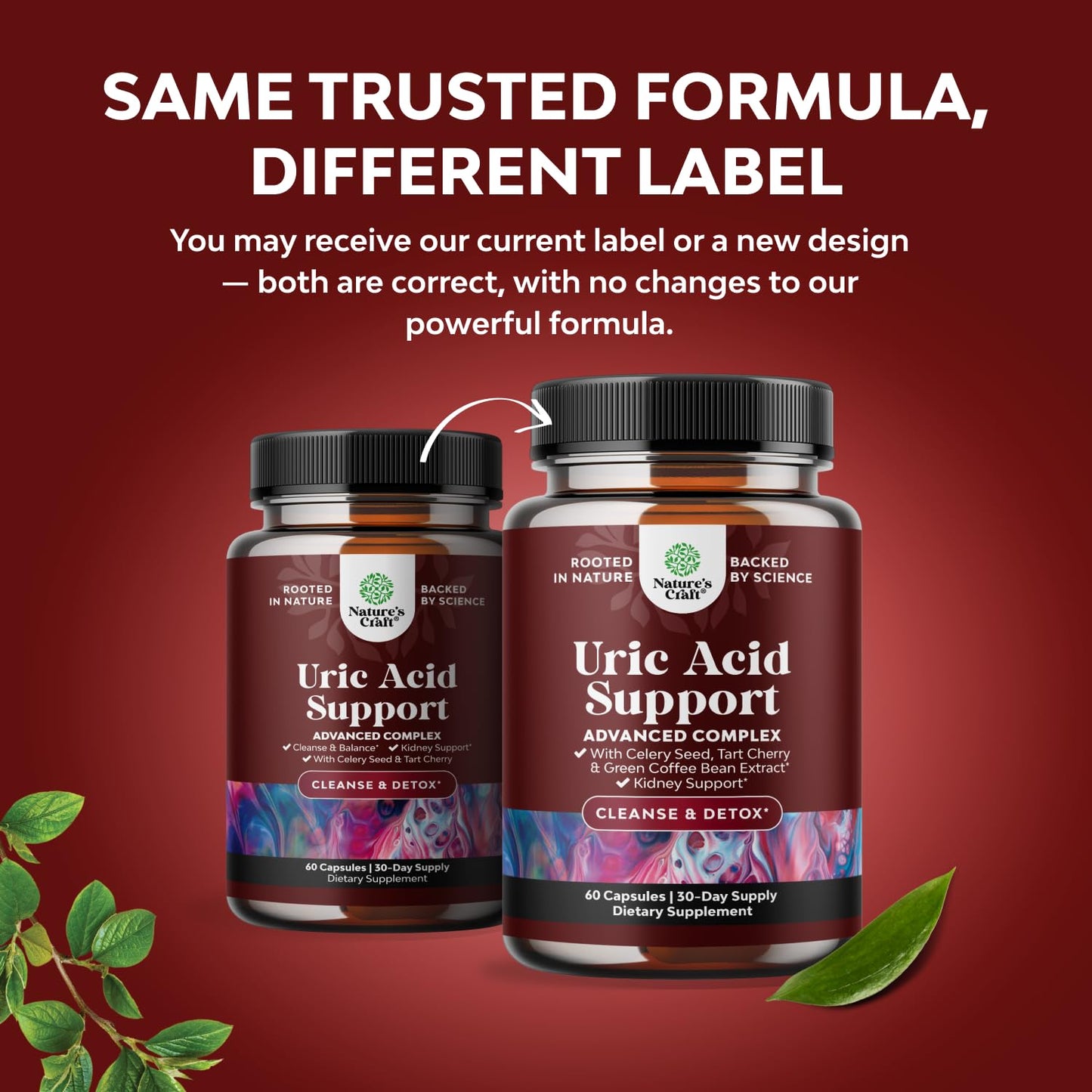 Green Coffee Beans Extract for Uric Acid Cleanse - 120 Capsules | Kidney Support Supplement with Tart Cherry, Chanca Piedra & Celery Seed - Uric Acid Support - Antioxidant Support - Non-GMO Gsupps Australia