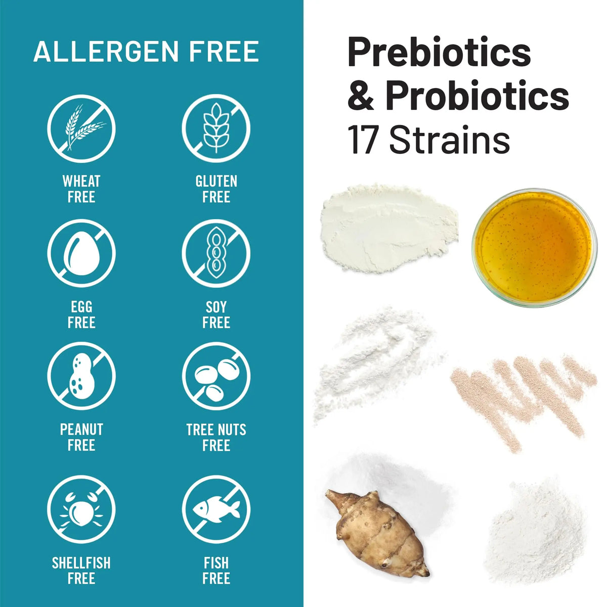 NatureWise Probiotics 60 Billion CFU - 17 Strains + Organic Prebiotics - Immune, Digestive & Gut Health Support for Women & Men - Vegetarian, Gluten-Free, NatureWise