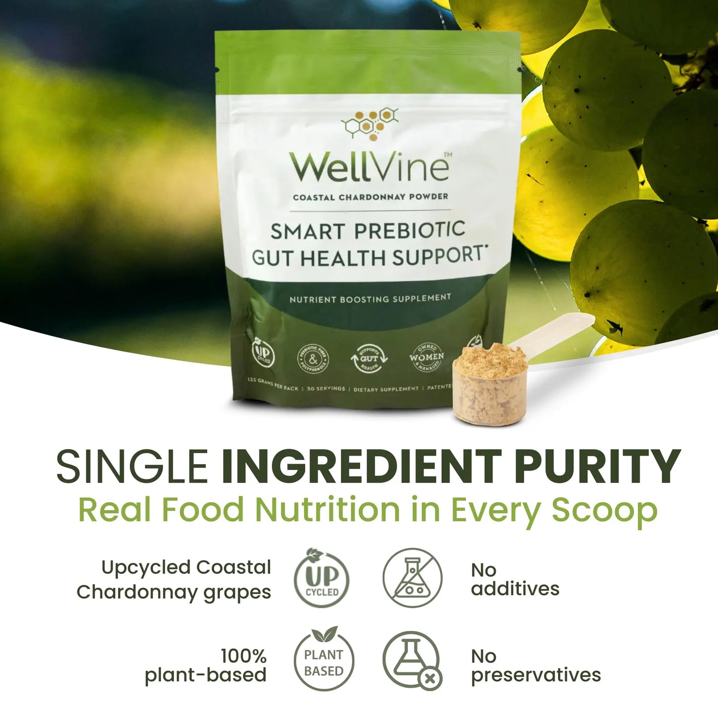 WellVine Premium Smart Prebiotic Gut Health Supplement Powder for Men & Women | Digestive Support & Gut Health With 100% Upcycled Chardonnay Grapes | Plant-Based WellVine