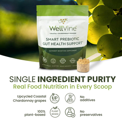 WellVine Premium Smart Prebiotic Gut Health Supplement Powder for Men & Women | Digestive Support & Gut Health With 100% Upcycled Chardonnay Grapes | Plant-Based WellVine