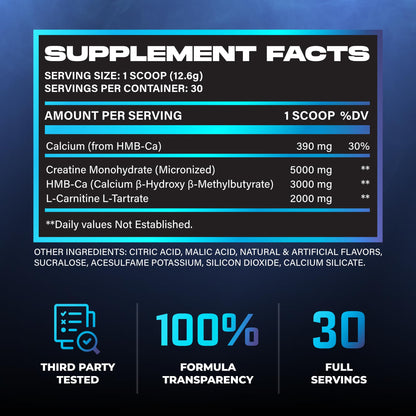 Huge Creatine HMB + LCLT, 5g Micronized Creatine Monohydrate with 3g HMB & 2g L-Carnitine L-Tartrate for Muscle Growth, Increased Strength, Enhanced Recovery & Improved Performance (Fruit Punch)