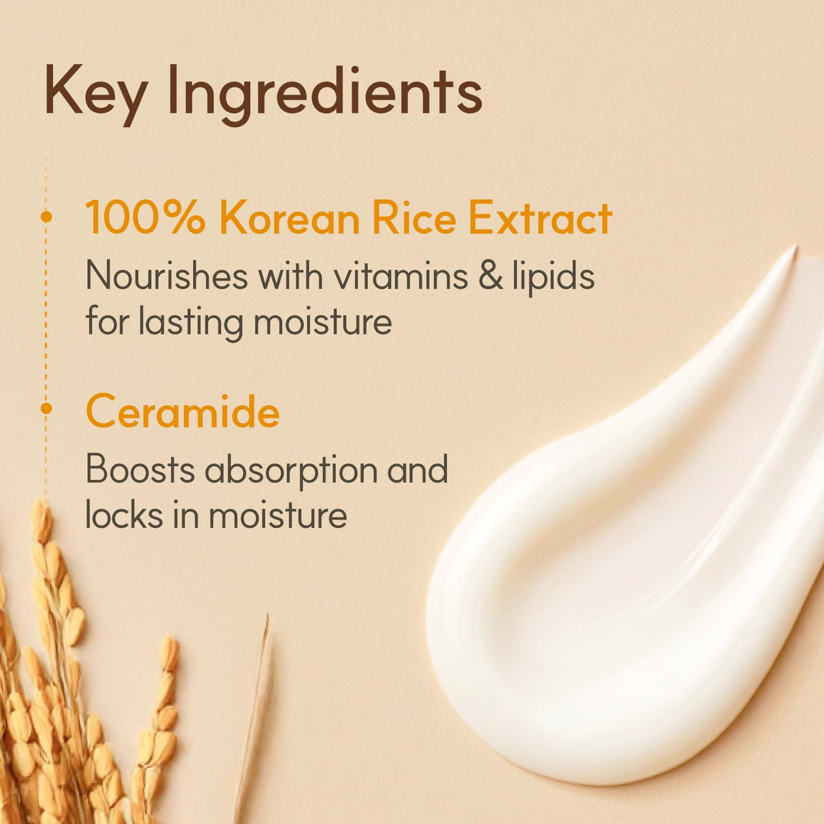 THE FACE SHOP Rice Ceramide Moisturizing Cream, Lightweight, 1.69 fl. oz. The Face Shop
