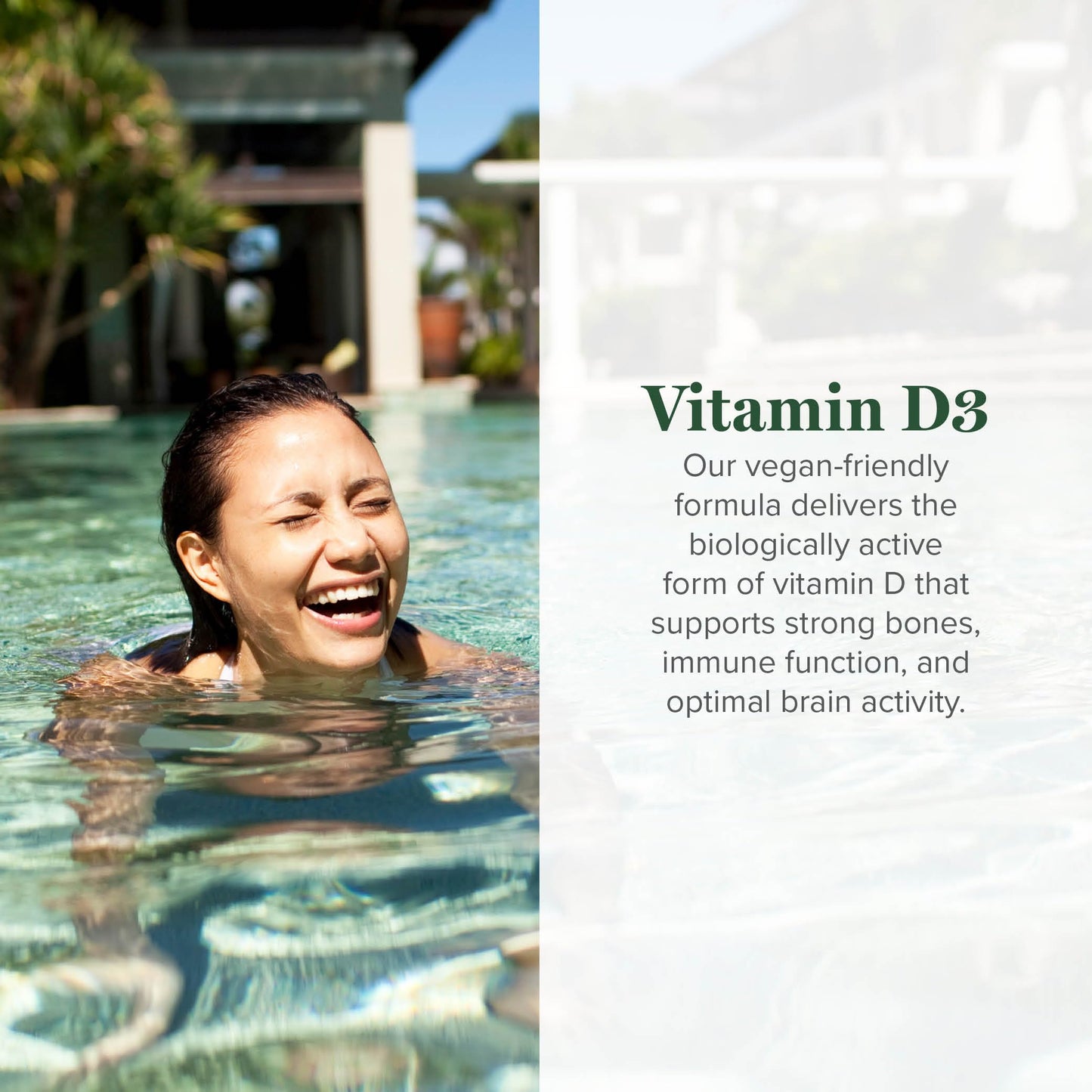 Global Healing Organic Vitamin D3 5000 IU Supplement - Vegan Vitamin D Supplements for Immune Health & Strong Bones Support - Pure D3 Vitamin 5000 IU Ingredients, VIT D3-2 Fl Oz